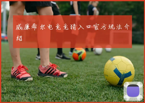 威廉希尔电竞竞猜入口官方玩法介绍