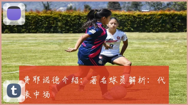 费耶诺德介绍：著名球员解析：代表中场