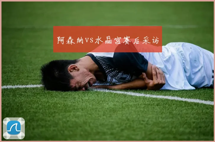 阿森纳vs水晶宫赛后采访