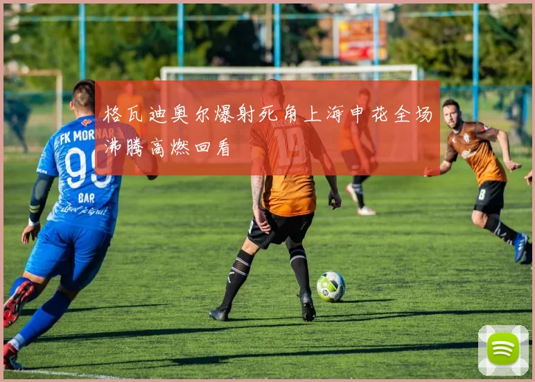 格瓦迪奥尔爆射死角上海申花全场沸腾高燃回看