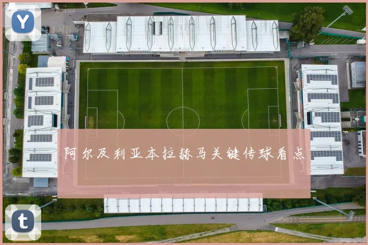 阿尔及利亚本拉赫马关键传球看点