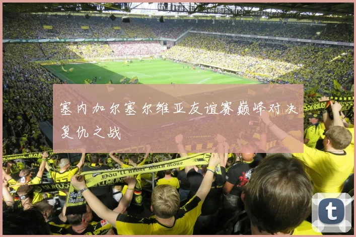 塞内加尔塞尔维亚友谊赛巅峰对决复仇之战
